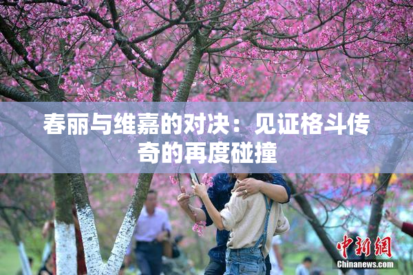 春丽与维嘉的对决：见证格斗传奇的再度碰撞