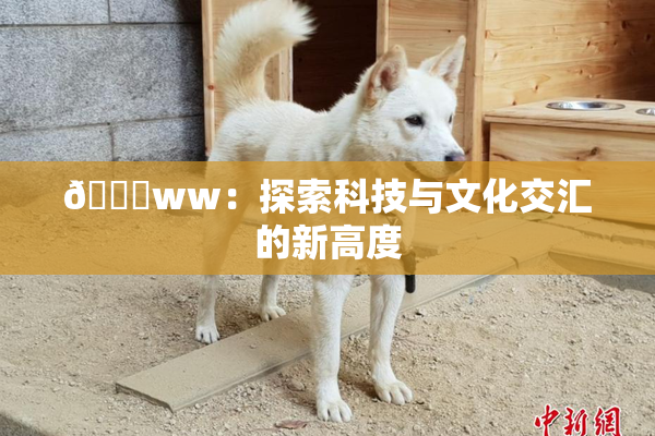 🔞ww：探索科技与文化交汇的新高度