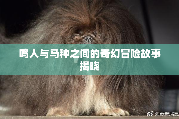 鸣人与马种之间的奇幻冒险故事揭晓