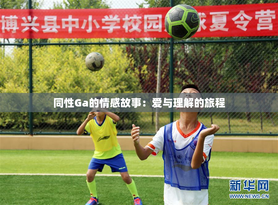 同性Ga的情感故事：爱与理解的旅程