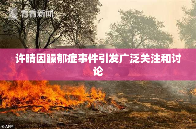 许晴因躁郁症事件引发广泛关注和讨论