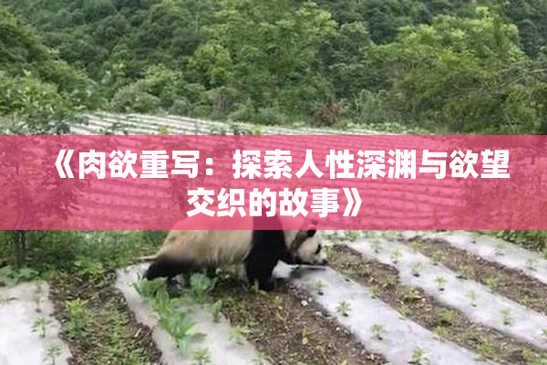 《肉欲重写：探索人性深渊与欲望交织的故事》