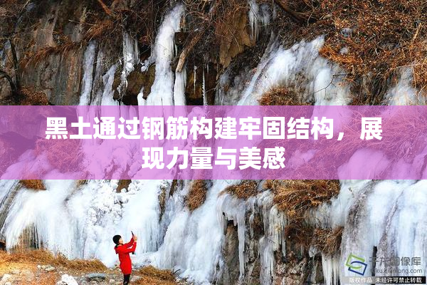 黑土通过钢筋构建牢固结构，展现力量与美感