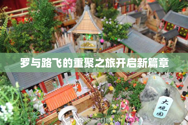 罗与路飞的重聚之旅开启新篇章