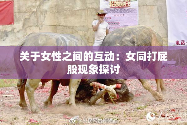 关于女性之间的互动：女同打屁股现象探讨