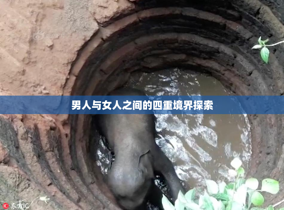 男人与女人之间的四重境界探索