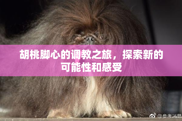 胡桃脚心的调教之旅，探索新的可能性和感受