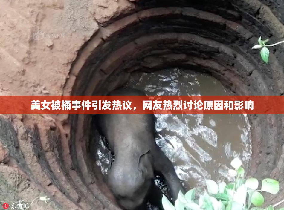 美女被桶事件引发热议，网友热烈讨论原因和影响