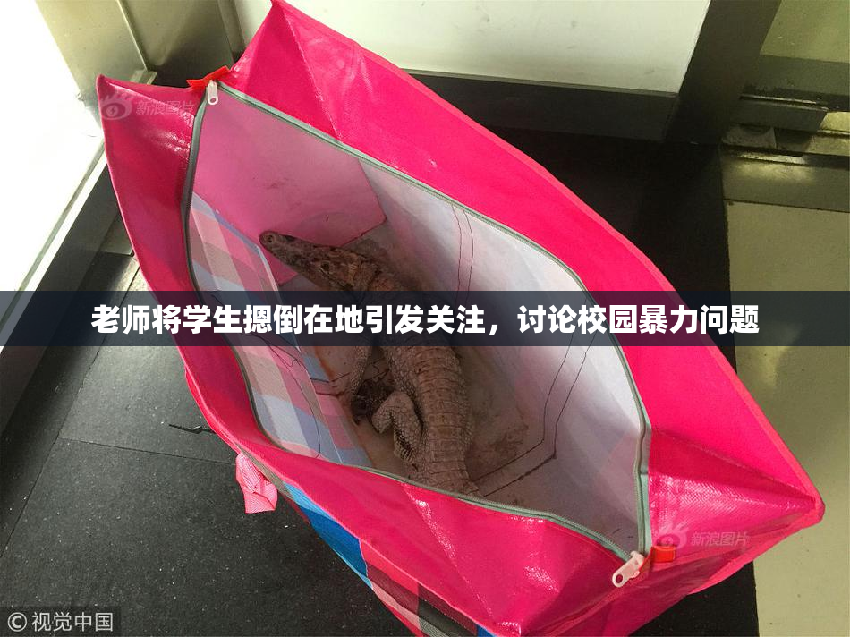 老师将学生摁倒在地引发关注，讨论校园暴力问题
