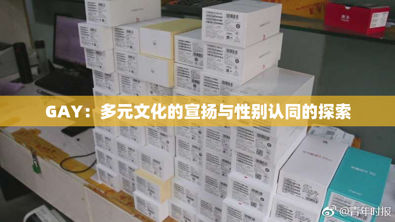 GAY：多元文化的宣扬与性别认同的探索