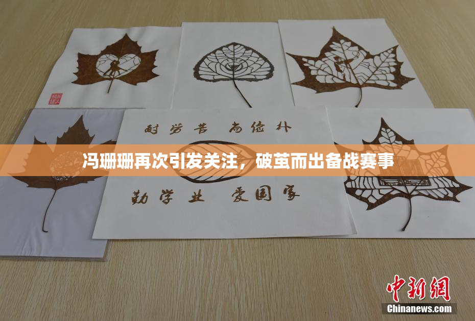 冯珊珊再次引发关注，破茧而出备战赛事