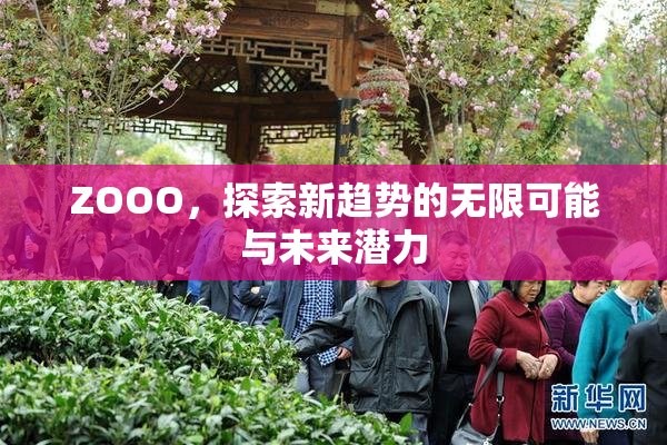 ZOOO，探索新趋势的无限可能与未来潜力