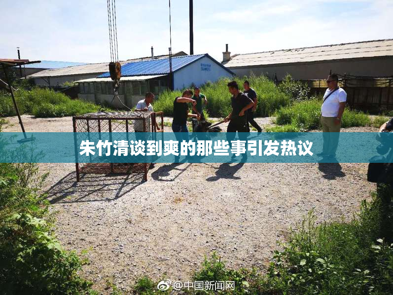 朱竹清谈到爽的那些事引发热议