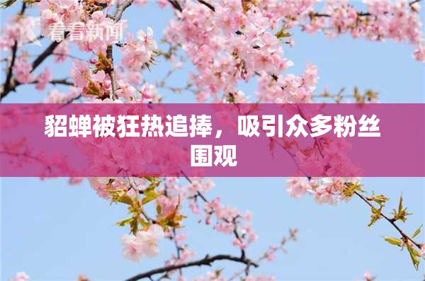 貂蝉被狂热追捧，吸引众多粉丝围观