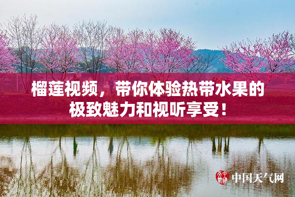 榴莲视频，带你体验热带水果的极致魅力和视听享受！