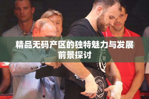 精品无码产区的独特魅力与发展前景探讨