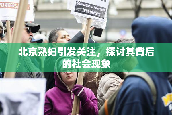 北京熟妇引发关注，探讨其背后的社会现象