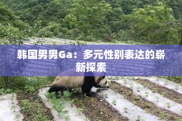 韩国男男Ga：多元性别表达的崭新探索