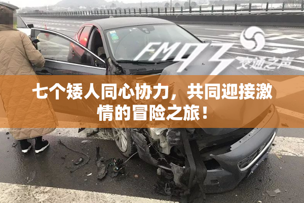七个矮人同心协力，共同迎接激情的冒险之旅！