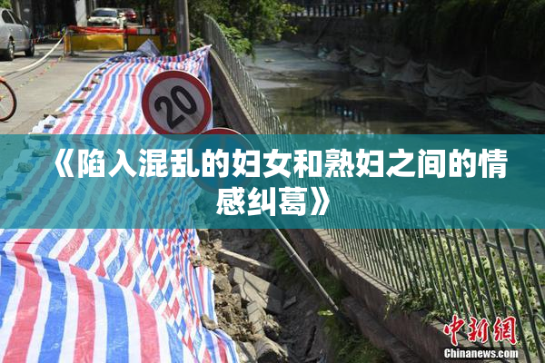 《陷入混乱的妇女和熟妇之间的情感纠葛》