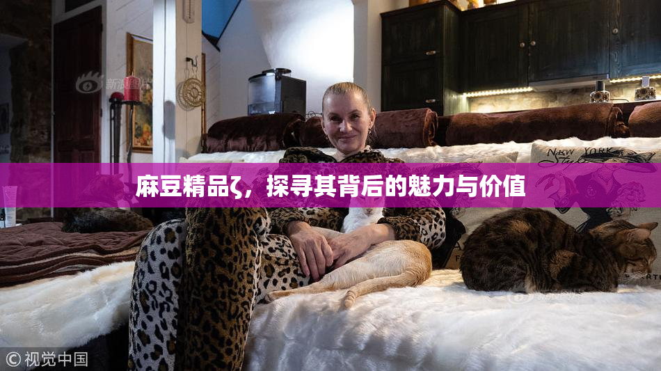 麻豆精品ζ，探寻其背后的魅力与价值