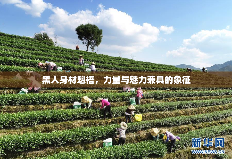 黑人身材魁梧，力量与魅力兼具的象征