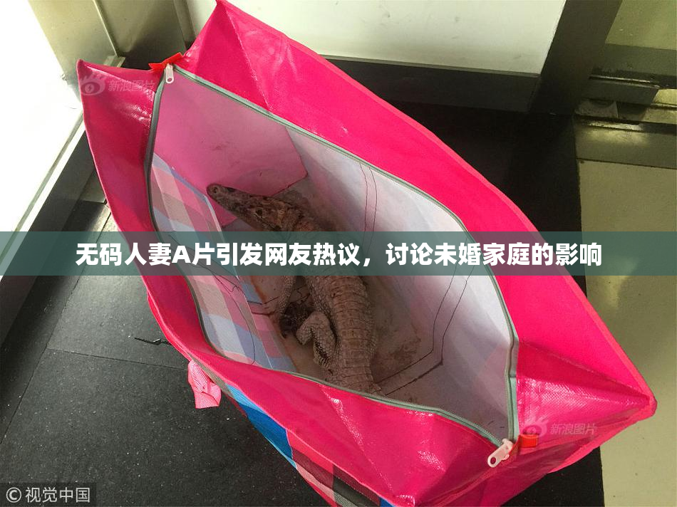 无码人妻A片引发网友热议，讨论未婚家庭的影响
