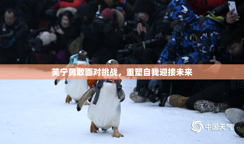 芙宁勇敢面对挑战，重塑自我迎接未来