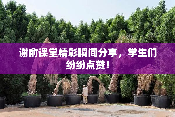 谢俞课堂精彩瞬间分享，学生们纷纷点赞！