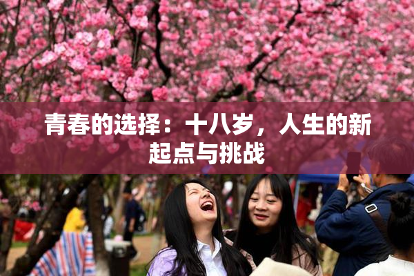 青春的选择：十八岁，人生的新起点与挑战