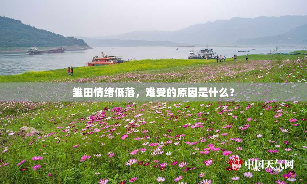 雏田情绪低落，难受的原因是什么？