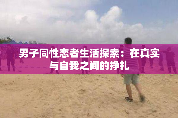 男子同性恋者生活探索：在真实与自我之间的挣扎