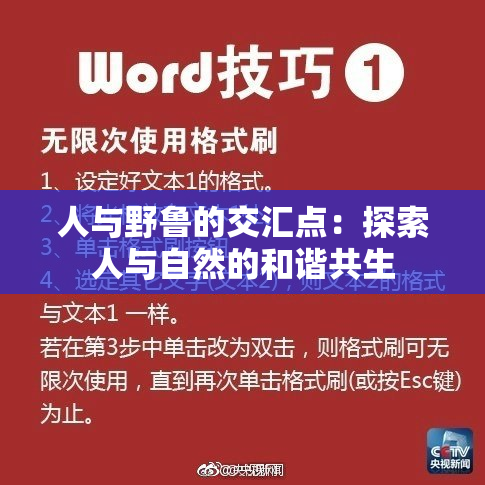 人与野鲁的交汇点：探索人与自然的和谐共生