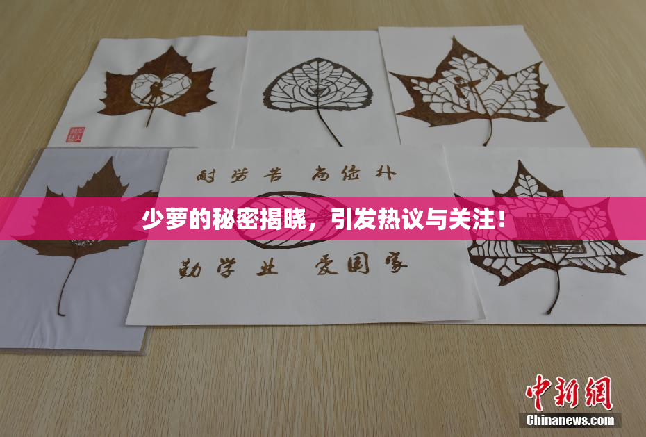 少萝的秘密揭晓，引发热议与关注！