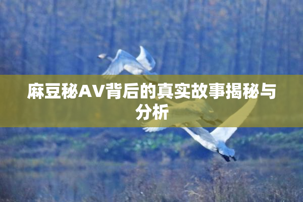 麻豆秘AV背后的真实故事揭秘与分析