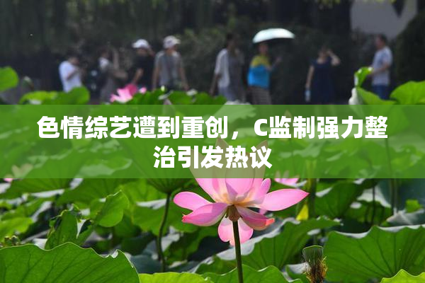 色情综艺遭到重创，C监制强力整治引发热议