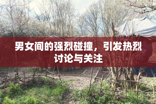 男女间的强烈碰撞，引发热烈讨论与关注