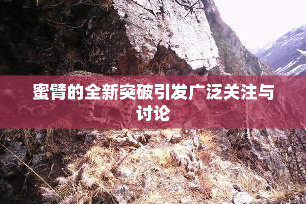 蜜臂的全新突破引发广泛关注与讨论