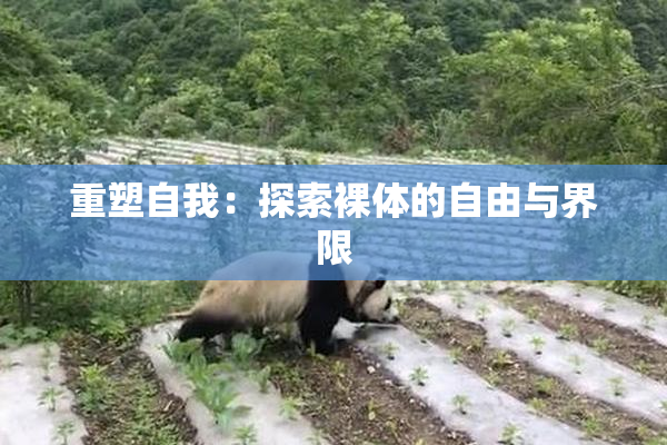 重塑自我：探索裸体的自由与界限