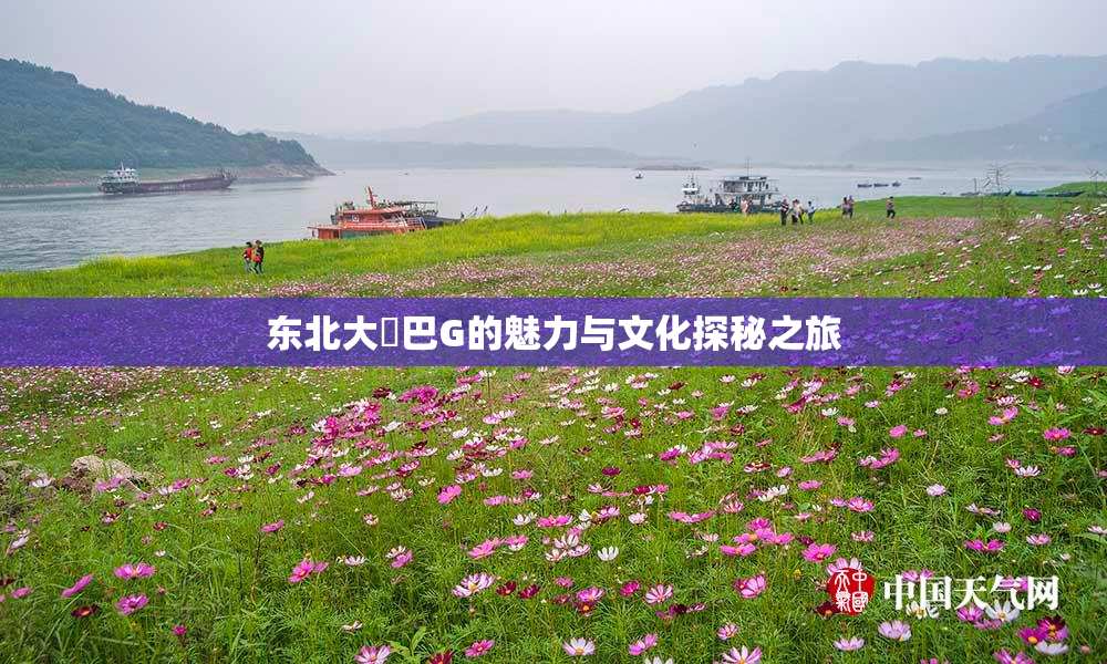 东北大鷄巴G的魅力与文化探秘之旅