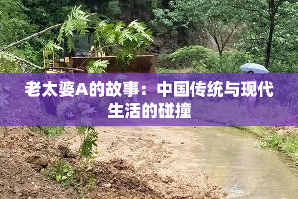 老太婆A的故事：中国传统与现代生活的碰撞