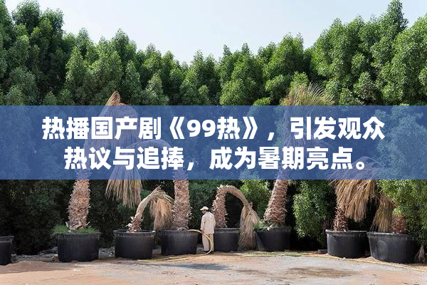 热播国产剧《99热》，引发观众热议与追捧，成为暑期亮点。