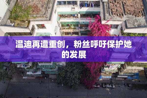 温迪再遭重创，粉丝呼吁保护她的发展