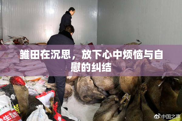 雏田在沉思，放下心中烦恼与自慰的纠结
