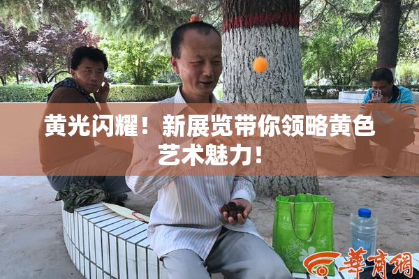 黄光闪耀！新展览带你领略黄色艺术魅力！