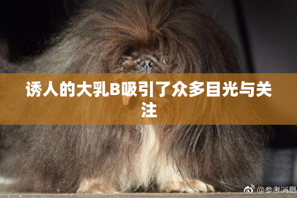 诱人的大乳B吸引了众多目光与关注