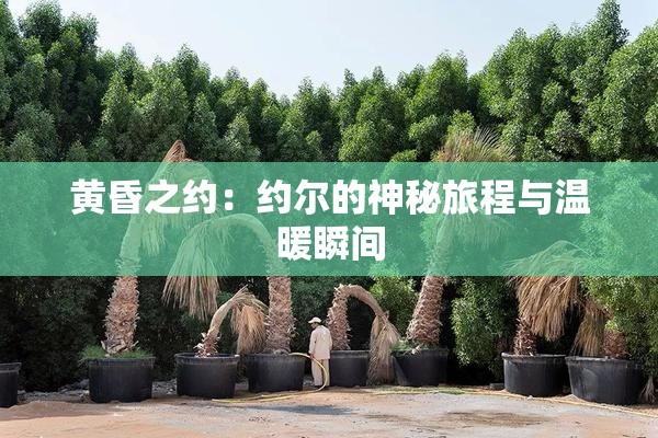 黄昏之约：约尔的神秘旅程与温暖瞬间