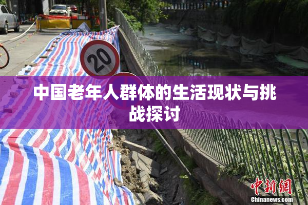 中国老年人群体的生活现状与挑战探讨