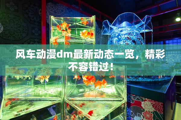 风车动漫dm最新动态一览，精彩不容错过！