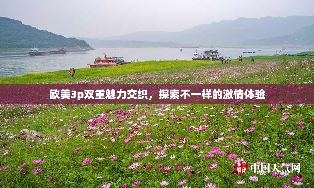 欧美3p双重魅力交织，探索不一样的激情体验